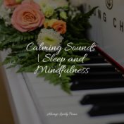Calming Sounds | Sleep and Mindfulness