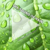 #01 The Sound of Rain for Bedtime, Relaxing, Yoga, Mindfulness