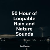 50 Hour of Loopable Rain and Nature Sounds