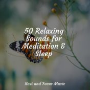 50 Relaxing Sounds for Meditation & Sleep