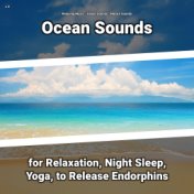 z Z Ocean Sounds for Relaxation, Night Sleep, Yoga, to Release Endorphins