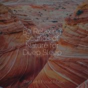 50 Relaxing Sounds of Nature for Deep Sleep