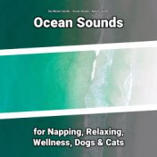Ocean Sounds for Napping, Relaxing, Wellness, Dogs & Cats