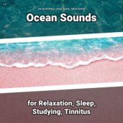 z Z Ocean Sounds for Relaxation, Sleep, Studying, Tinnitus