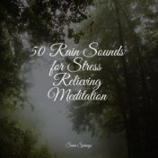 50 Rain Sounds for Stress Relieving Meditation