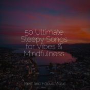 50 Ultimate Sleepy Songs for Vibes & Mindfulness