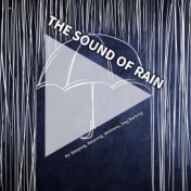 #01 The Sound of Rain for Sleeping, Relaxing, Wellness, Dog Barking