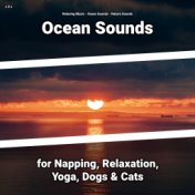 z Z z Ocean Sounds for Napping, Relaxation, Yoga, Dogs & Cats