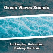 z Z Ocean Waves Sounds for Sleeping, Relaxation, Studying, the Brain