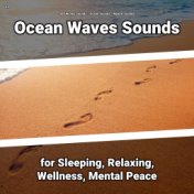 z Z Ocean Waves Sounds for Sleeping, Relaxing, Wellness, Mental Peace