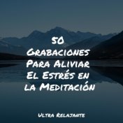 50 Grabaciones Para Aliviar El Estrés en la Meditación