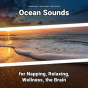 Ocean Sounds for Napping, Relaxing, Wellness, the Brain