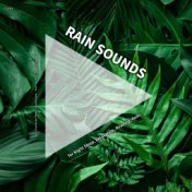 #01 Rain Sounds for Night Sleep, Relaxation, Reading, Reiki