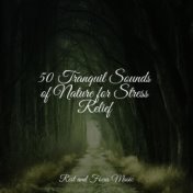 50 Tranquil Sounds of Nature for Stress Relief