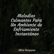 Melodías Calmantes Para Un Ambiente de Enfriamiento Instantáneo