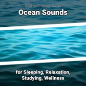 Ocean Sounds for Sleeping, Relaxation, Studying, Wellness