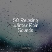 50 Loopable Rain Sounds for Spa & Relaxation