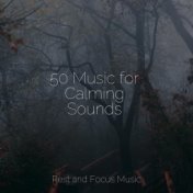 50 Music for Calming Sounds