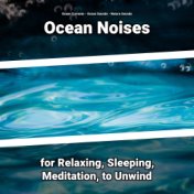 Ocean Noises for Relaxing, Sleeping, Meditation, to Unwind
