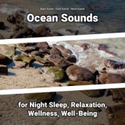 Ocean Sounds for Night Sleep, Relaxation, Wellness, Well-Being