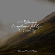 50 Relaxing Compilation for Spa & Serenity