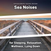 Sea Noises for Sleeping, Relaxation, Wellness, Lying Down