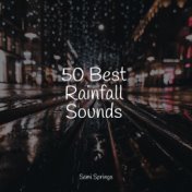 50 Best Rainfall Sounds