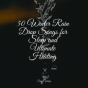 50 Winter Rain Drop Songs for Sleep and Ultimate Healing