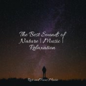 The Best Sounds of Nature | Music | Relaxation