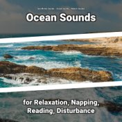 Ocean Sounds for Relaxation, Napping, Reading, Disturbance