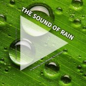 #01 The Sound of Rain for Relaxing, Sleep, Studying, to Cool Down