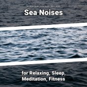 z Z Sea Noises for Relaxing, Sleep, Meditation, Fitness
