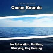 Ocean Sounds for Relaxation, Bedtime, Studying, Dog Barking