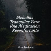 Melodías Tranquilas Para Una Meditación Reconfortante