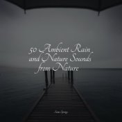 Soothing Nature Sounds