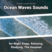 Ocean Waves Sounds for Night Sleep, Relaxing, Studying, The Hospital