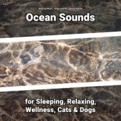 z Z z Ocean Sounds for Sleeping, Relaxing, Wellness, Cats & Dogs