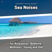 z Z z Sea Noises for Relaxation, Bedtime, Wellness, Young and Old