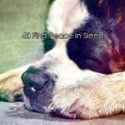 40 Find Peace In Sleep