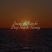 Sounds of Rain for Deep Sleep & Serenity