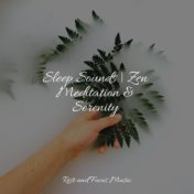 Sleep Sounds | Zen Meditation & Serenity