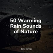 50 Warming Rain Sounds of Nature
