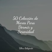 50 Colección de Mares Para Dormir y Serenidad