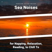 z Z Sea Noises for Napping, Relaxation, Reading, to Chill To