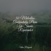 50 Melodías Ambientales Para Un Sueño Reparador