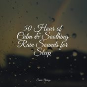 50 Hour of Calm & Soothing Rain Sounds for Sleep