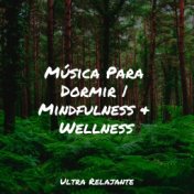 Música Para Dormir | Mindfulness & Wellness