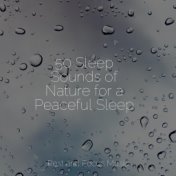 50 Sleep Sounds of Nature for a Peaceful Sleep
