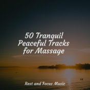 50 Tranquil Peaceful Tracks for Massage