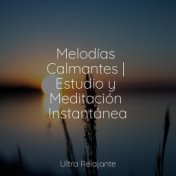 Melodías Calmantes | Estudio y Meditación Instantánea